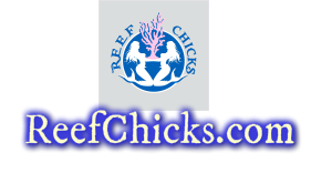 reffchicks